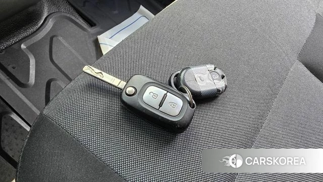 Renault Korea (Samsung) Master id 4464645 из Кореи 21