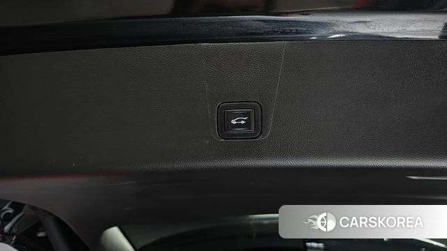 Chevrolet (GM Daewoo) Traverse id 4534453 из Кореи 21