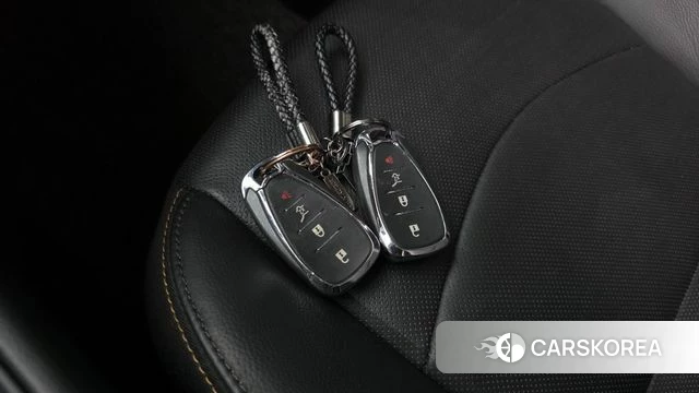 Chevrolet (GM Daewoo) Equinox id 4471145 из Кореи 21