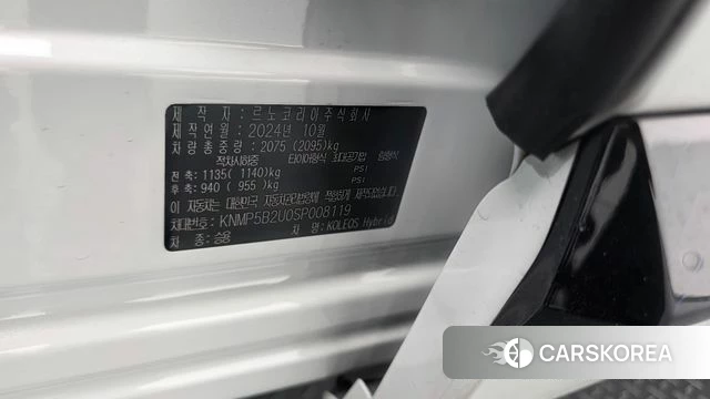 Renault Korea (Samsung) Grand Coleos id 4617676 из Кореи 21