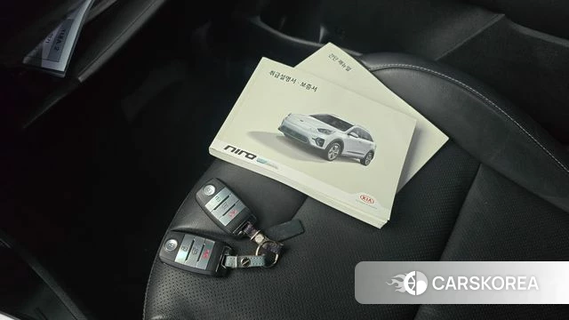 Kia Niro EV id 4520372 из Кореи 21
