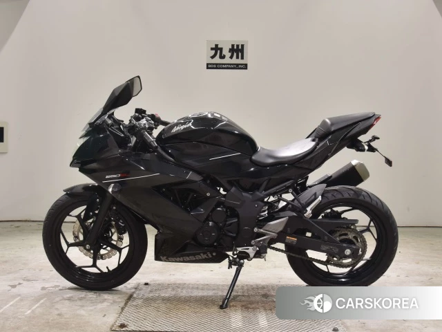 Kawasaki NINJA 250SL id 3949289 из Японии 21