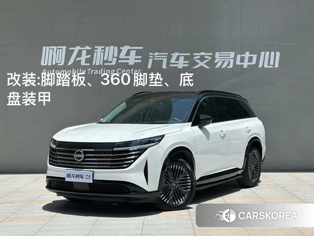 Nissan Exploring the land id 4220619 из Китая 21