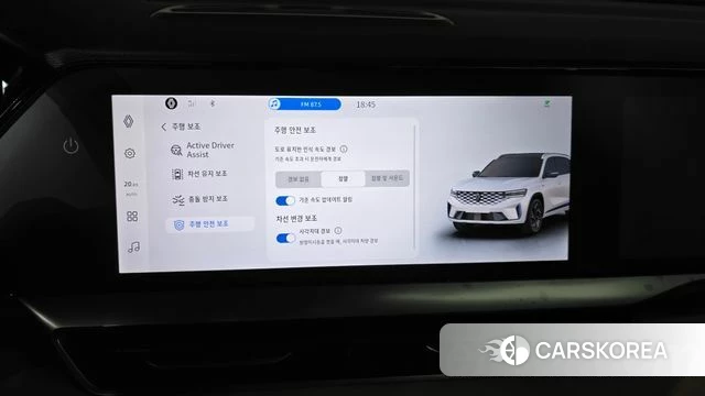 Renault Korea (Samsung) Grand Coleos id 4870779 из Кореи 21