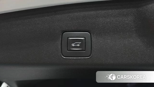Chevrolet (GM Daewoo) Trailblazer id 4613388 из Кореи 21