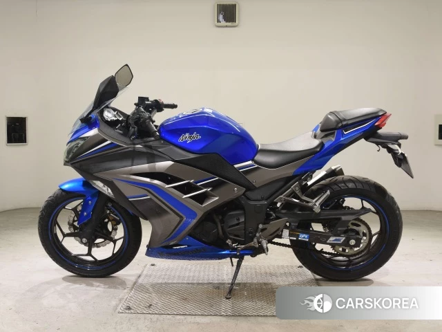Kawasaki NINJA 250 ABS id 3947108 из Японии 21
