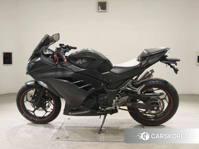 Kawasaki NINJA 250 id 3947292 из Японии 21