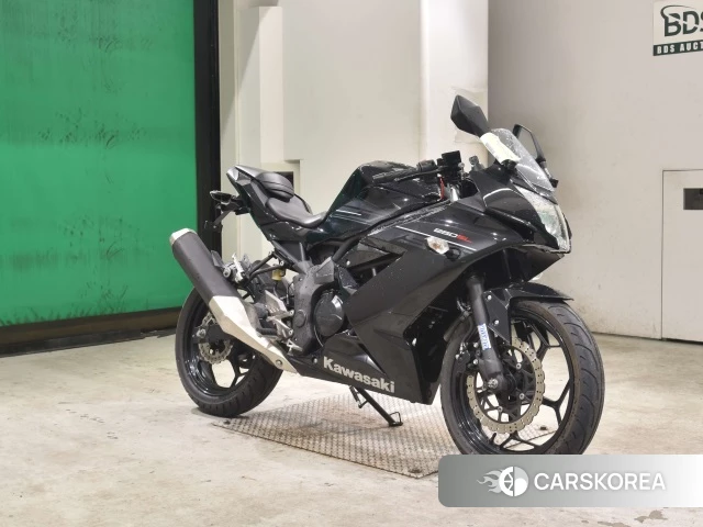 Kawasaki NINJA 250SL id 3949289 из Японии 22