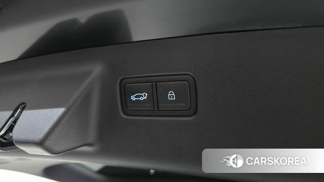 Hyundai Santa Fe (MX5) id 4354183 из Кореи 22