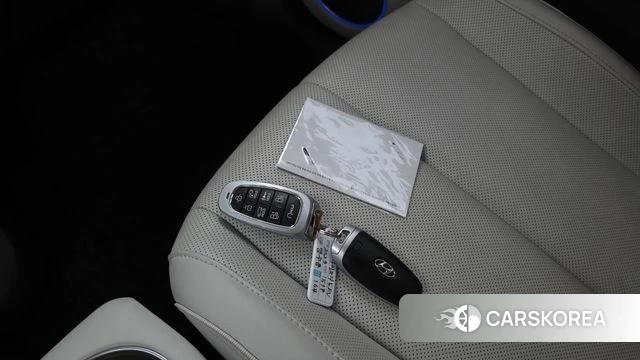 Hyundai Ionic 5 id 4608132 из Кореи 22