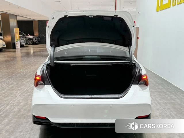 Toyota Asian dragon id 4263547 из Китая 22