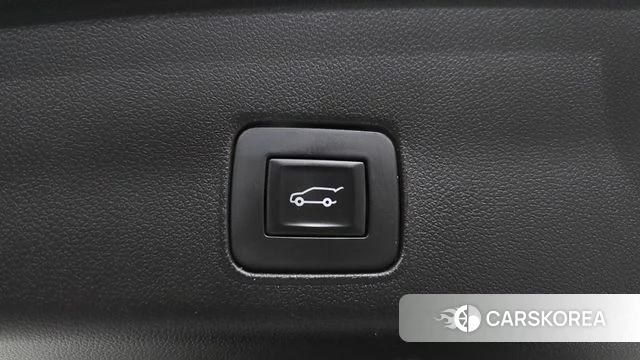 Chevrolet (GM Daewoo) Trailblazer id 4502024 из Кореи 22