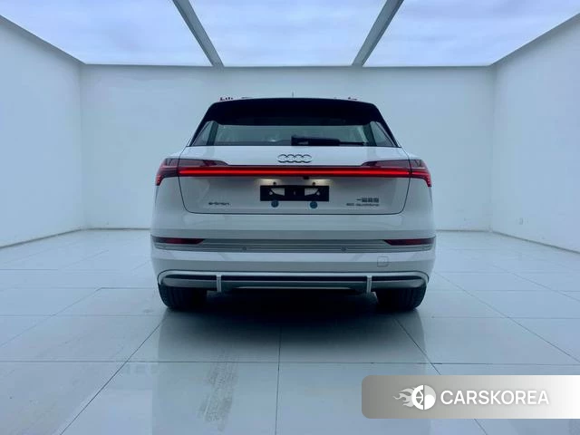 Audi e-tron id 4307330 из Китая 22