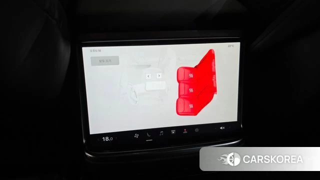 Tesla Model X id 4870414 из Кореи 22