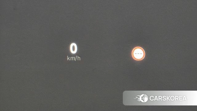 Renault Korea (Samsung) Grand Coleos id 4400417 из Кореи 22