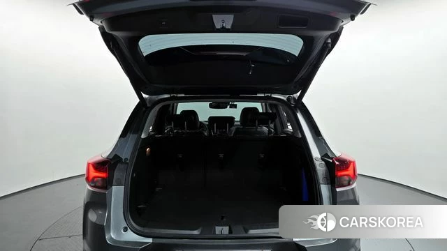 Chevrolet (GM Daewoo) Trailblazer id 4223643 из Кореи 22