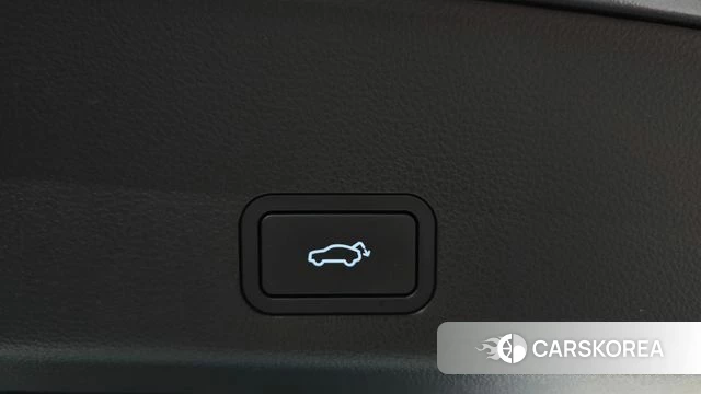 Renault Korea (Samsung) Grand Coleos id 4630037 из Кореи 22