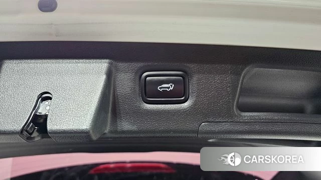 Hyundai Santa Fe TM id 4632934 из Кореи 22