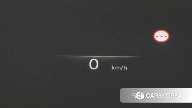 Genesis G80 (RG3) id 4871367 из Кореи 22