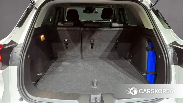 Chevrolet (GM Daewoo) Trailblazer id 4203044 из Кореи 22