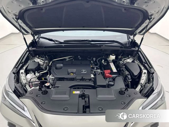 Lexus NX id 3902329 из Китая 22