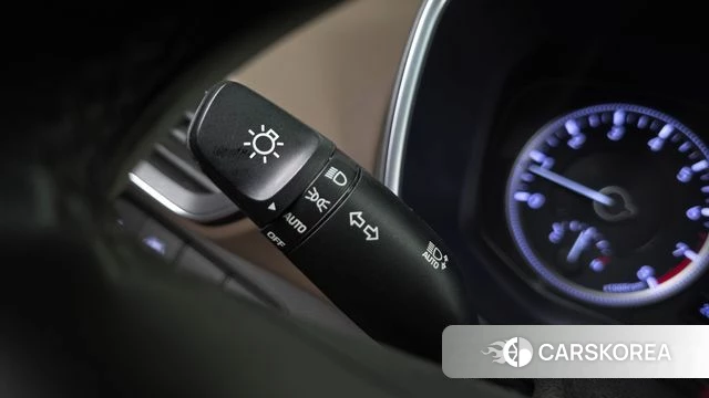 Hyundai Santa Fe TM id 4610149 из Кореи 22