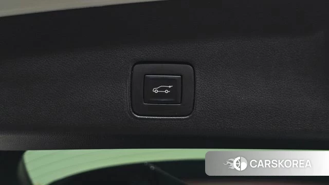 Chevrolet (GM Daewoo) Trailblazer id 4731769 из Кореи 21