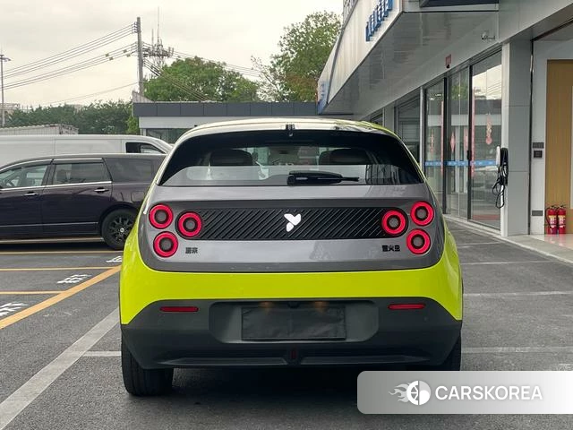 firefly firefly Unknown id 4182703 из Китая 22