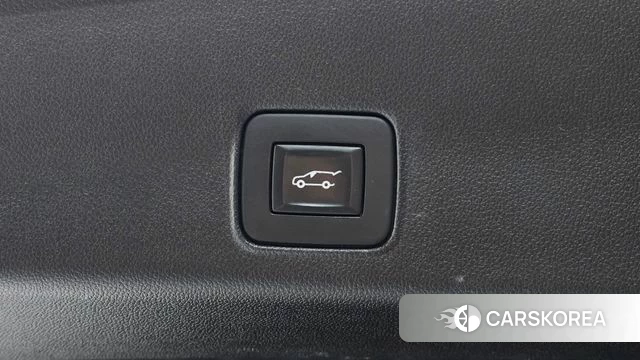 Chevrolet (GM Daewoo) Trailblazer id 4693393 из Кореи 22