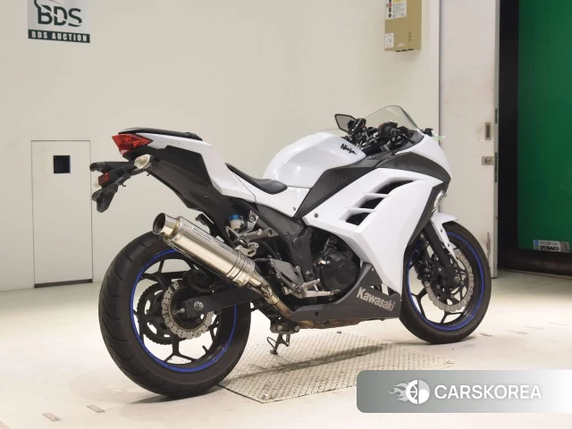 Проданный Kawasaki NINJA 250 id 4013176 из Японии, фото 22