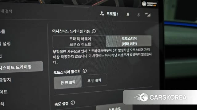 Tesla Model 3 id 4853644 из Кореи 22