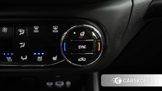 Chevrolet (GM Daewoo) Trailblazer id 4443198 из Кореи 22
