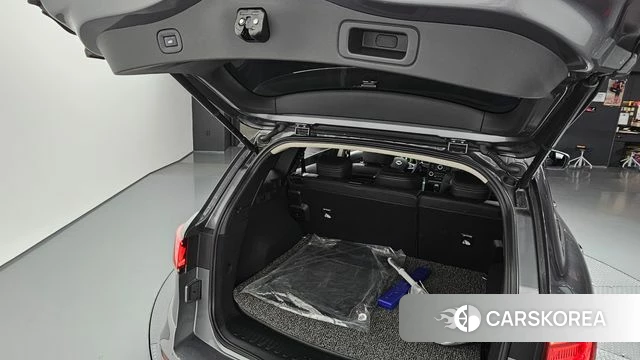 Renault Korea (Samsung) The New QM6 id 4202476 из Кореи 22