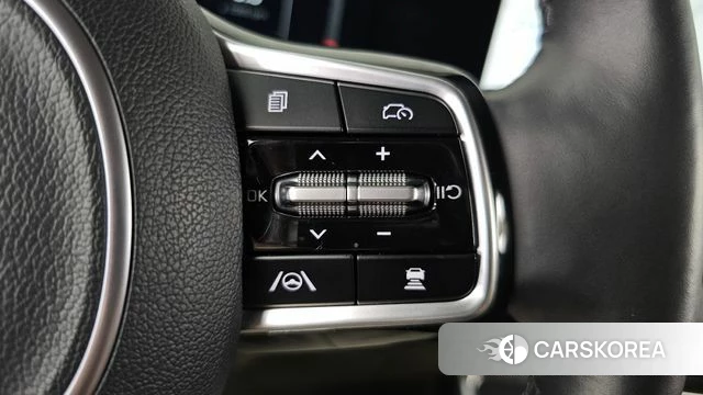 Kia The New Carnival 4th Generation id 4623576 из Кореи 22