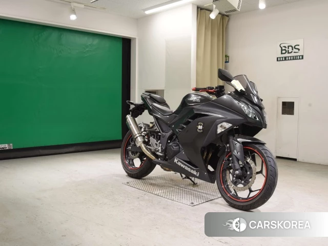 Kawasaki NINJA 250 id 3947292 из Японии 22