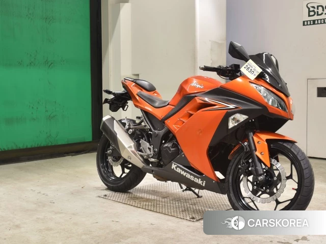 Kawasaki NINJA 250 id 3947355 из Японии 22