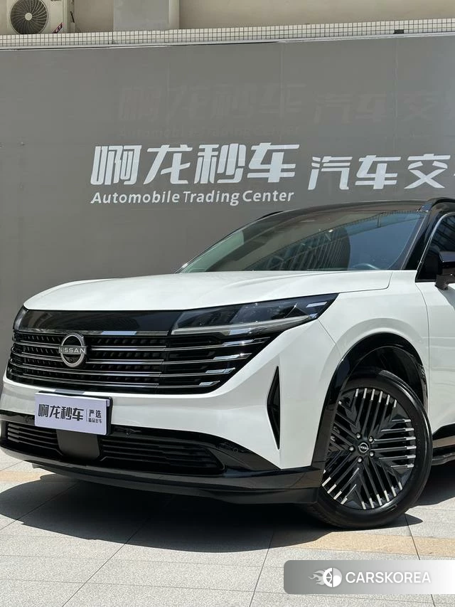 Nissan Exploring the land id 4220619 из Китая 22