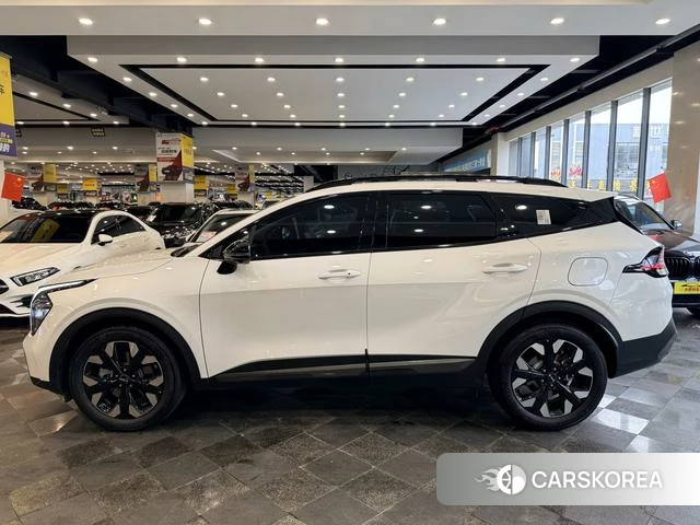 Kia Lion Platinum expands the world id 4297723 из Китая 22