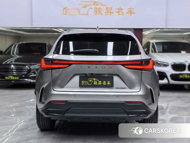 Lexus NX id 4277479 из Китая 22