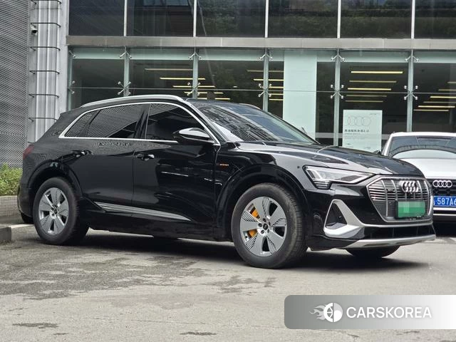 Audi e-tron id 4279175 из Китая 11