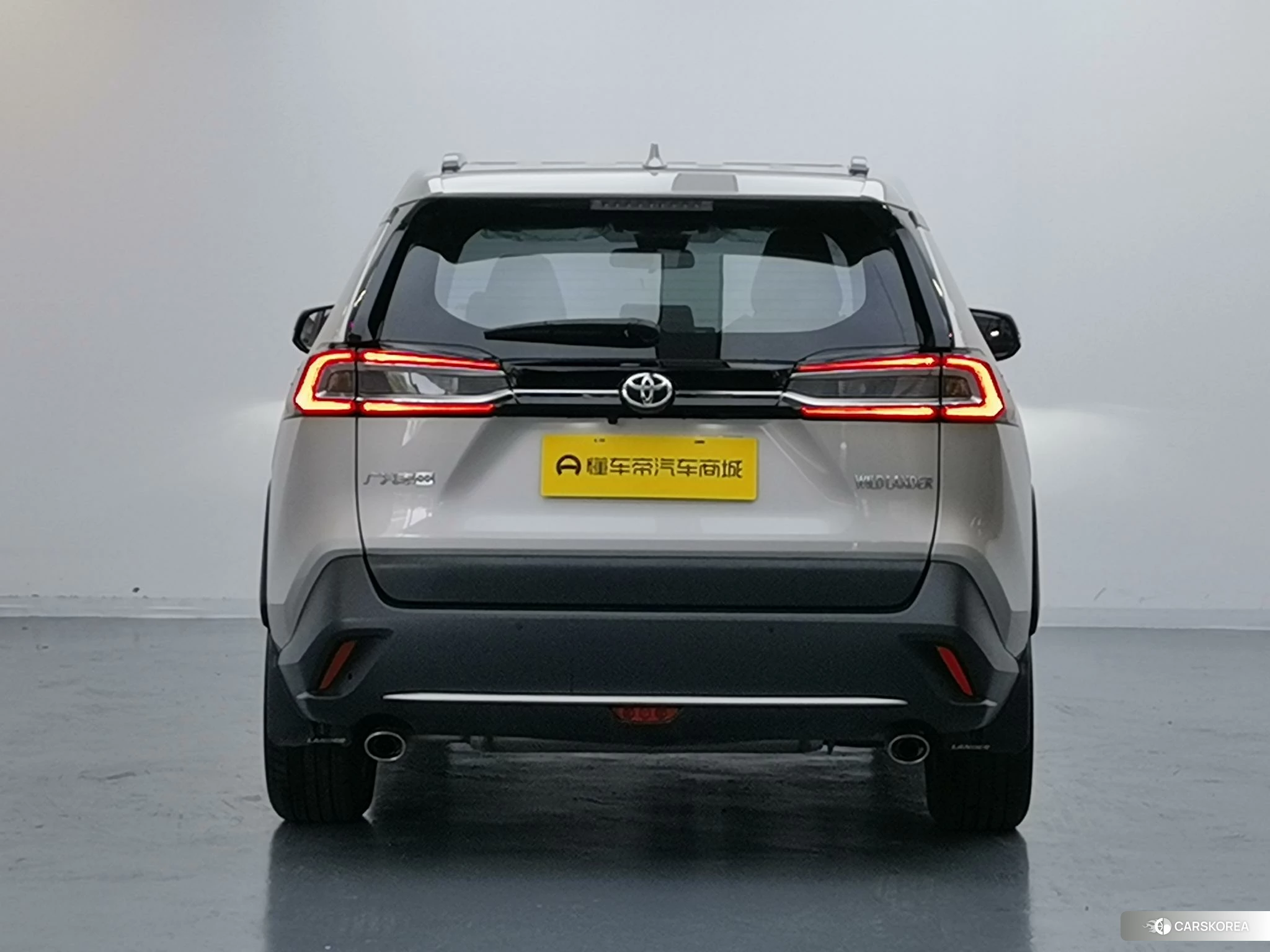 Toyota Wildlander id 4513922 из Китая 13