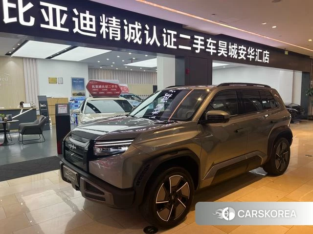 Leopard Titanium 3 2025 Темно-серый из Китая, фото 5