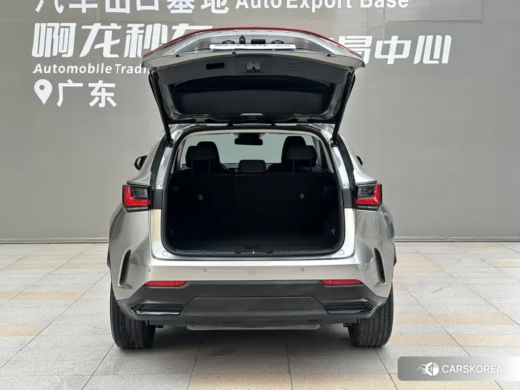Lexus NX id 4680739 из Китая 16