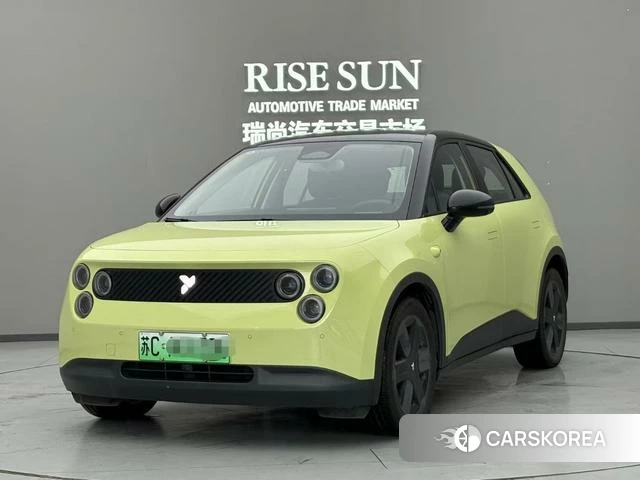 firefly firefly Unknown 2025 Зеленый из Китая, фото 3