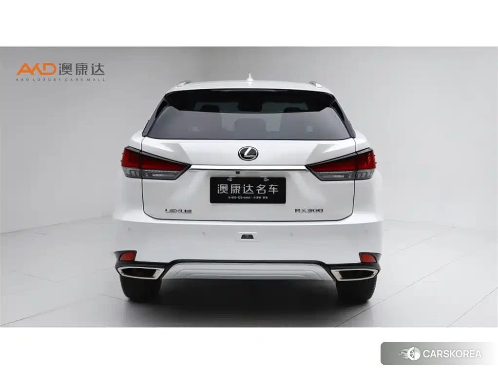 Lexus RX 2022 Белый из Китая, фото 3