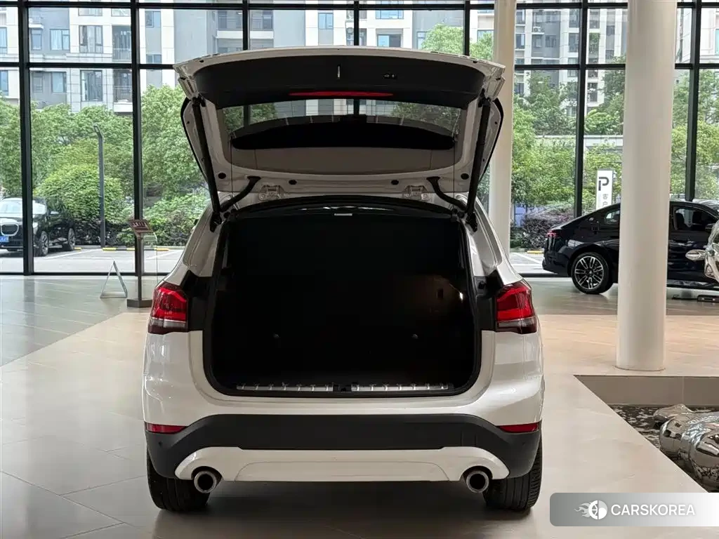 BMW X1 id 4617070 из Китая 9