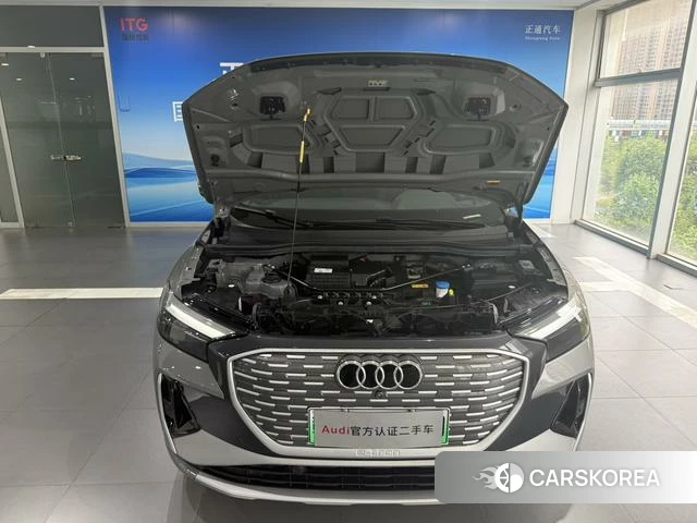 Audi Q4 e-tron id 4256918 из Китая 20