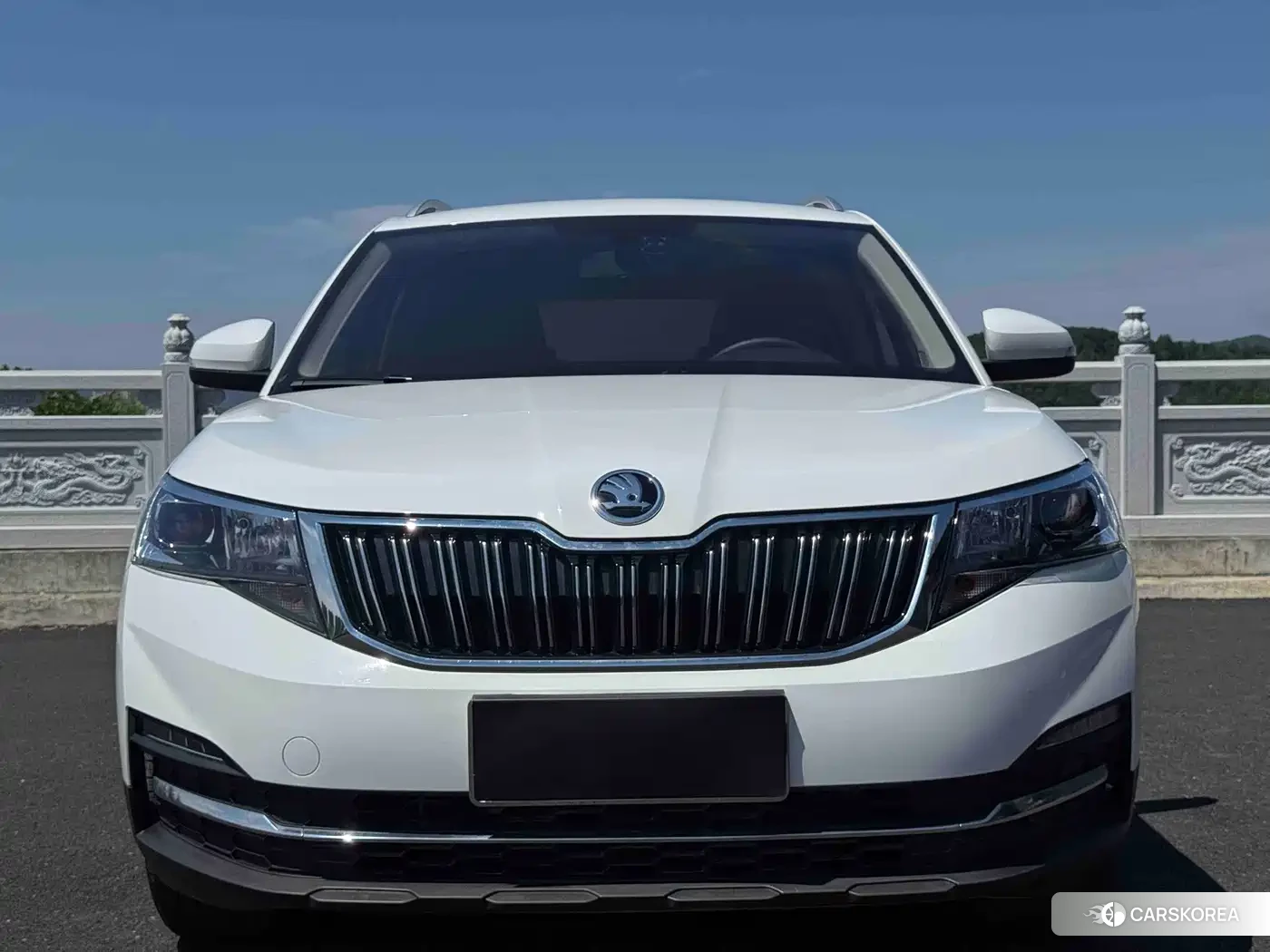 Skoda Kamiq id 4601820 из Китая 14