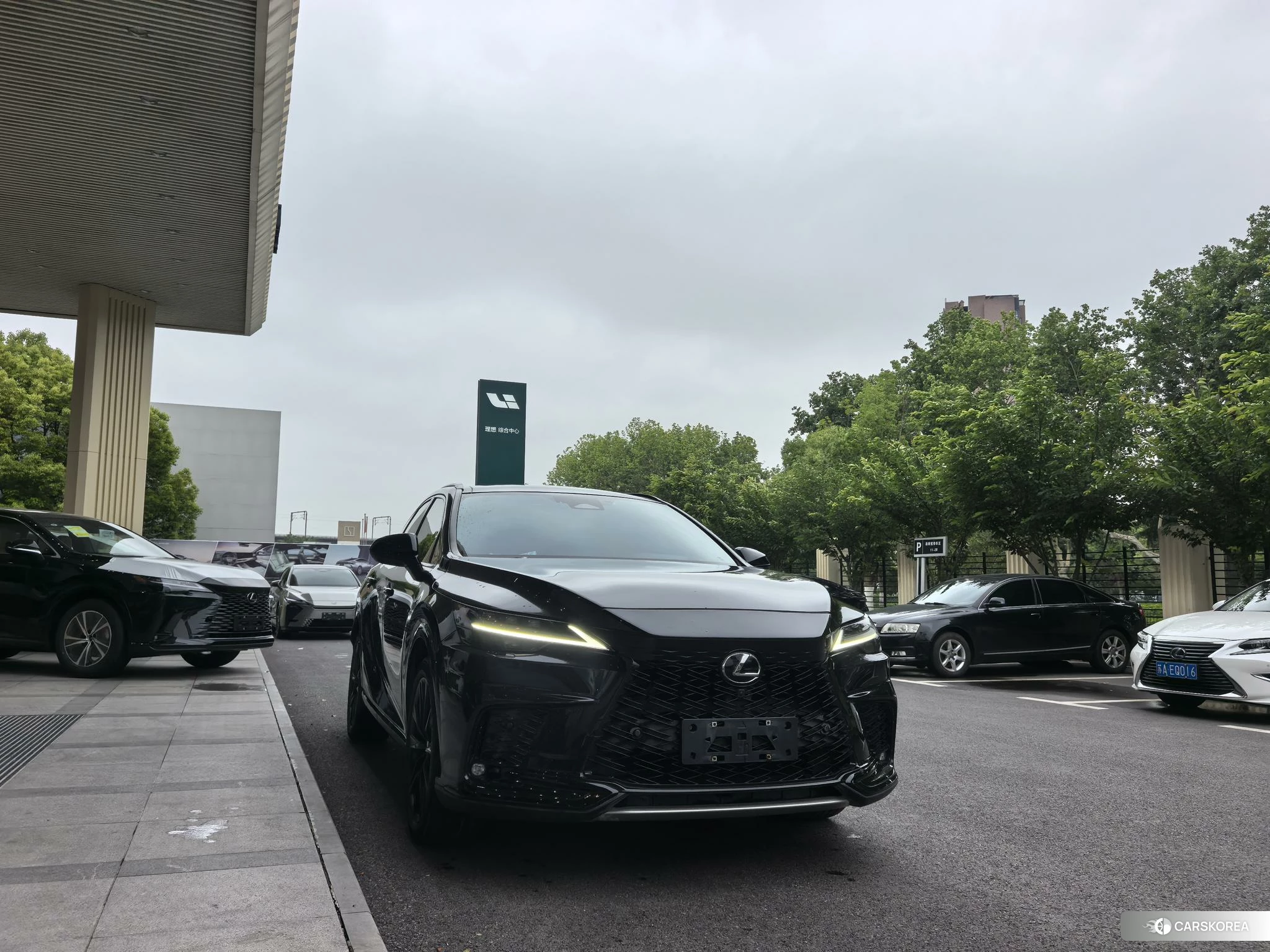 Lexus RX id 4420211 из Китая 11