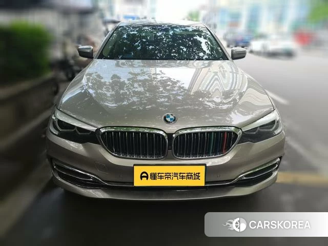 BMW 5 series 2019 Шампань из Китая, фото 3